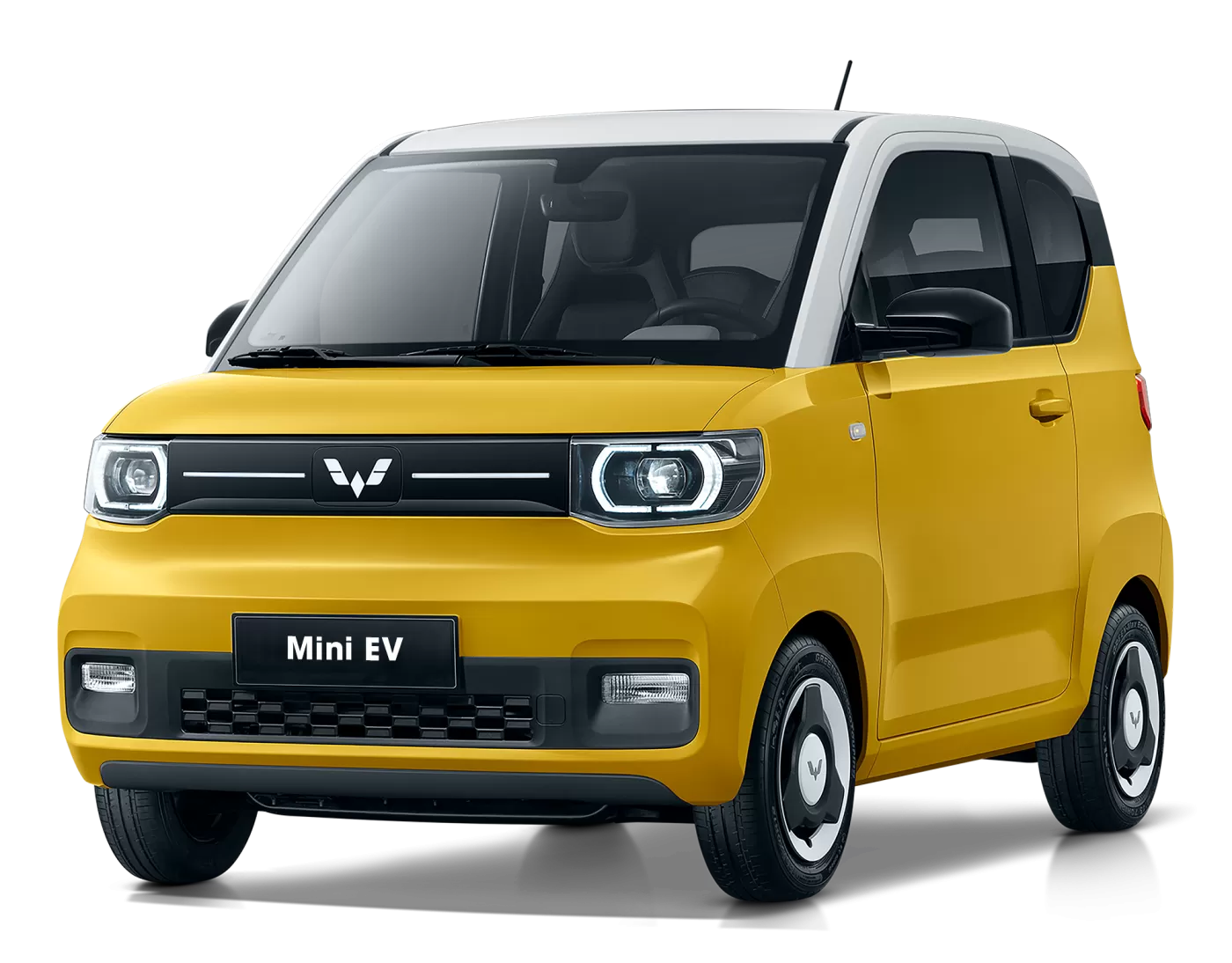 Tổng quan xe Mini EV