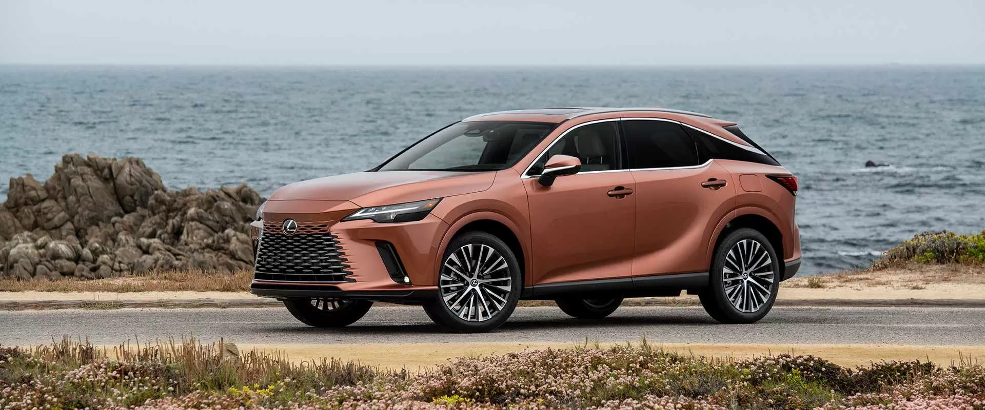 gia-xe-lexus-rx350-tinbanxe-5.png