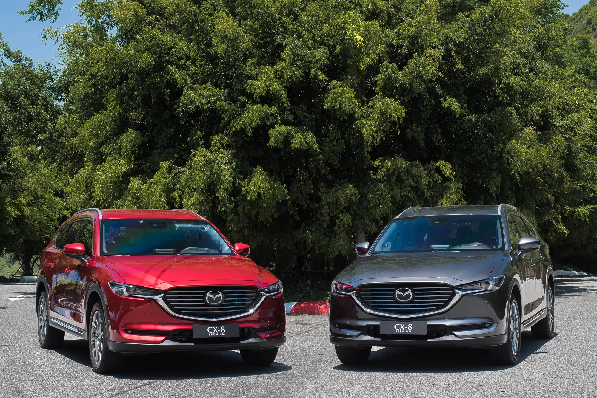 Ngoại thất Mazda CX 8