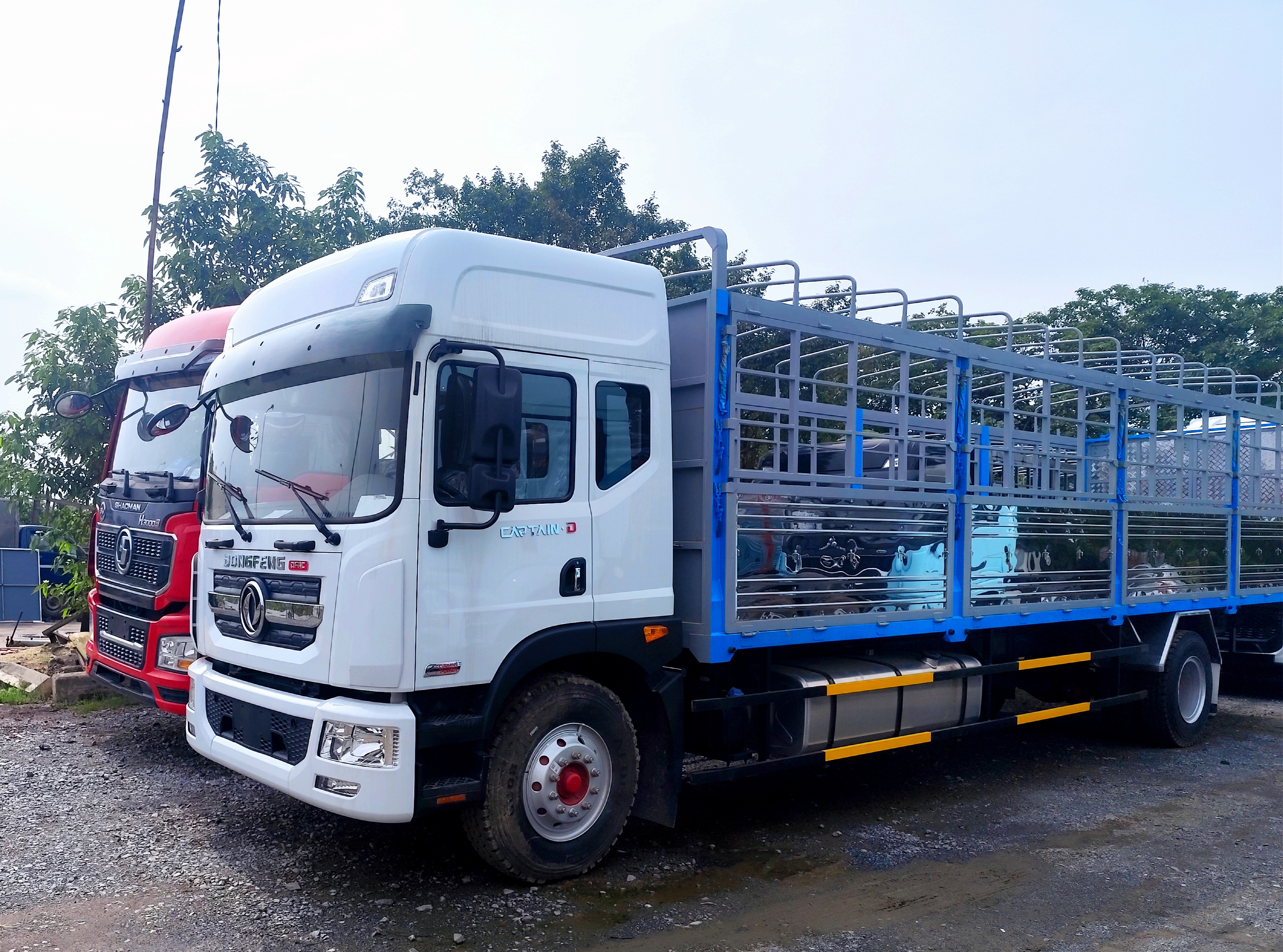 CẦN BÁN  3 EM DONGFENG D12 - THÙNG BẠT ( Trắng , Vàng , Đen)
