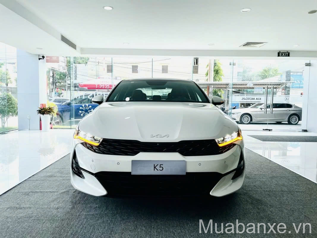 2.0 Luxury undefined