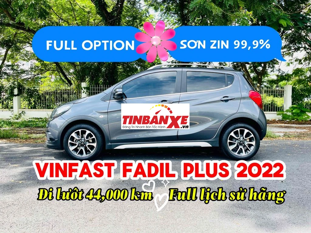 Xe cùng phân khúc