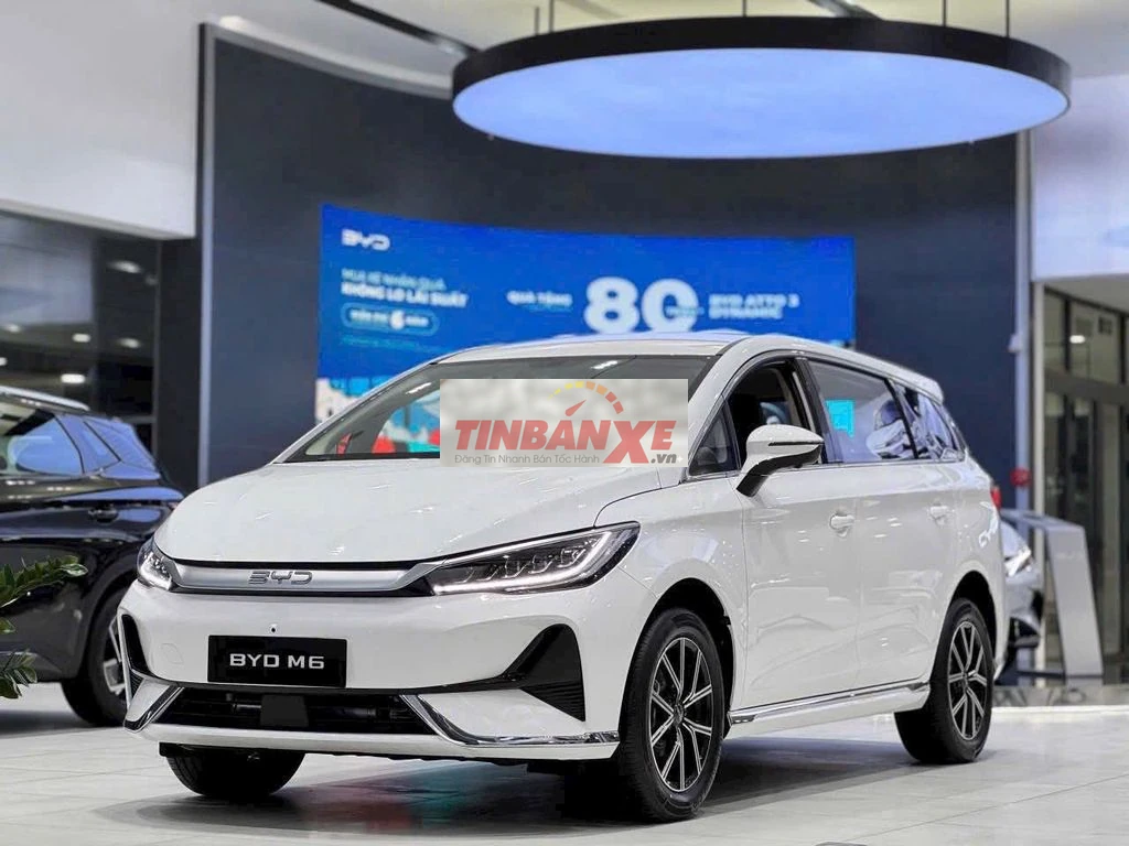 BYD M6 2025