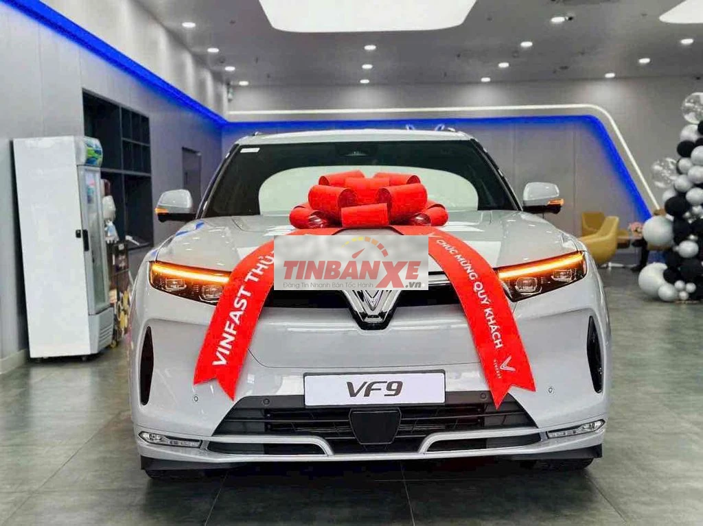 VF9 BAO ĐẬU NỢ XẤU NHÓM 5 CẢ DOANH NGHIỆP-VAY 100%
