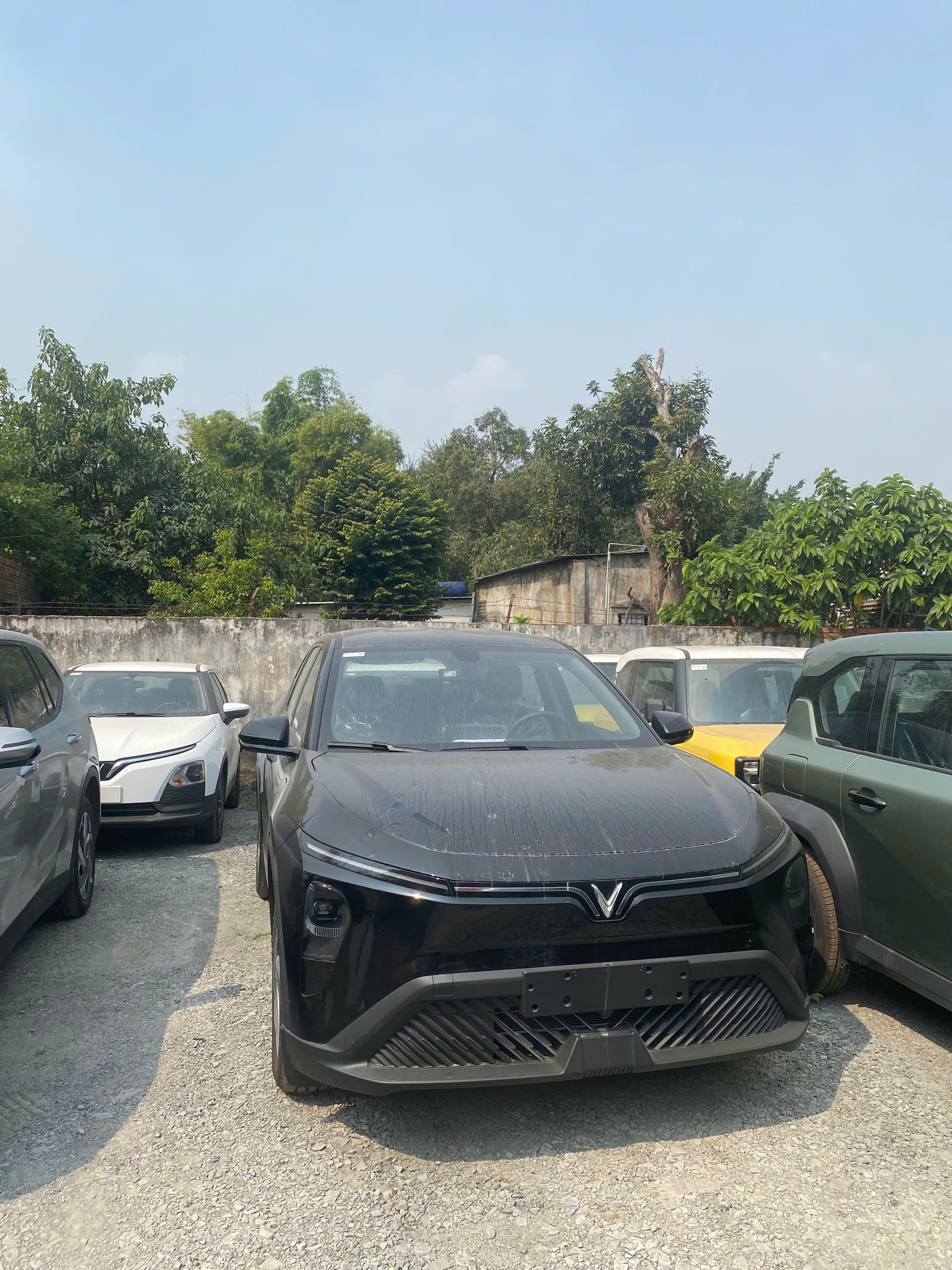 Vinfast Limo Green 2025 Giá 629Tr