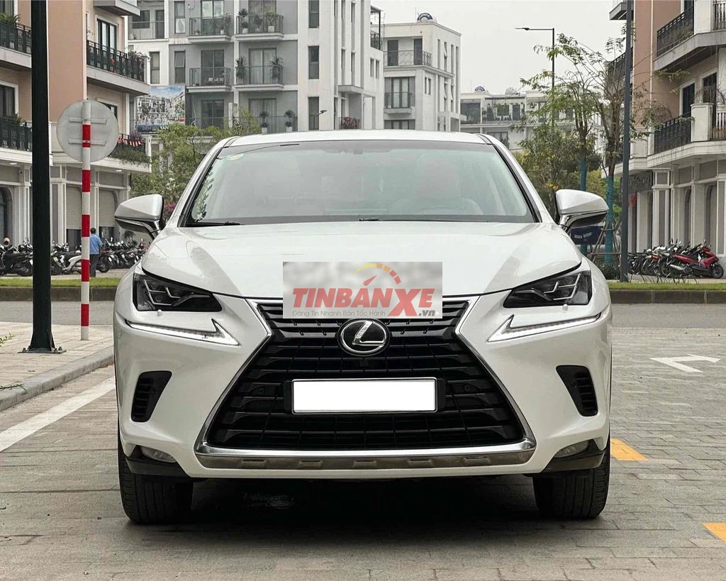 Lexus NX300 2018 Trắng 100000 km
