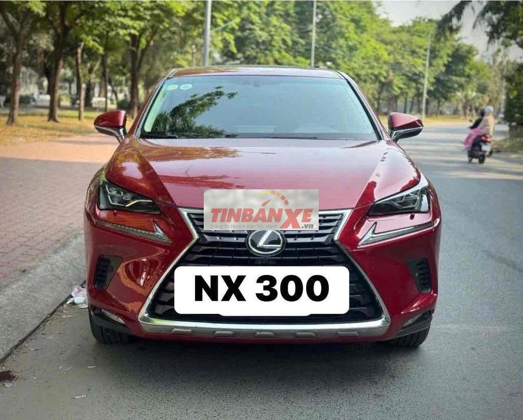 Lexus NX 300 2019 Đỏ 72136 km