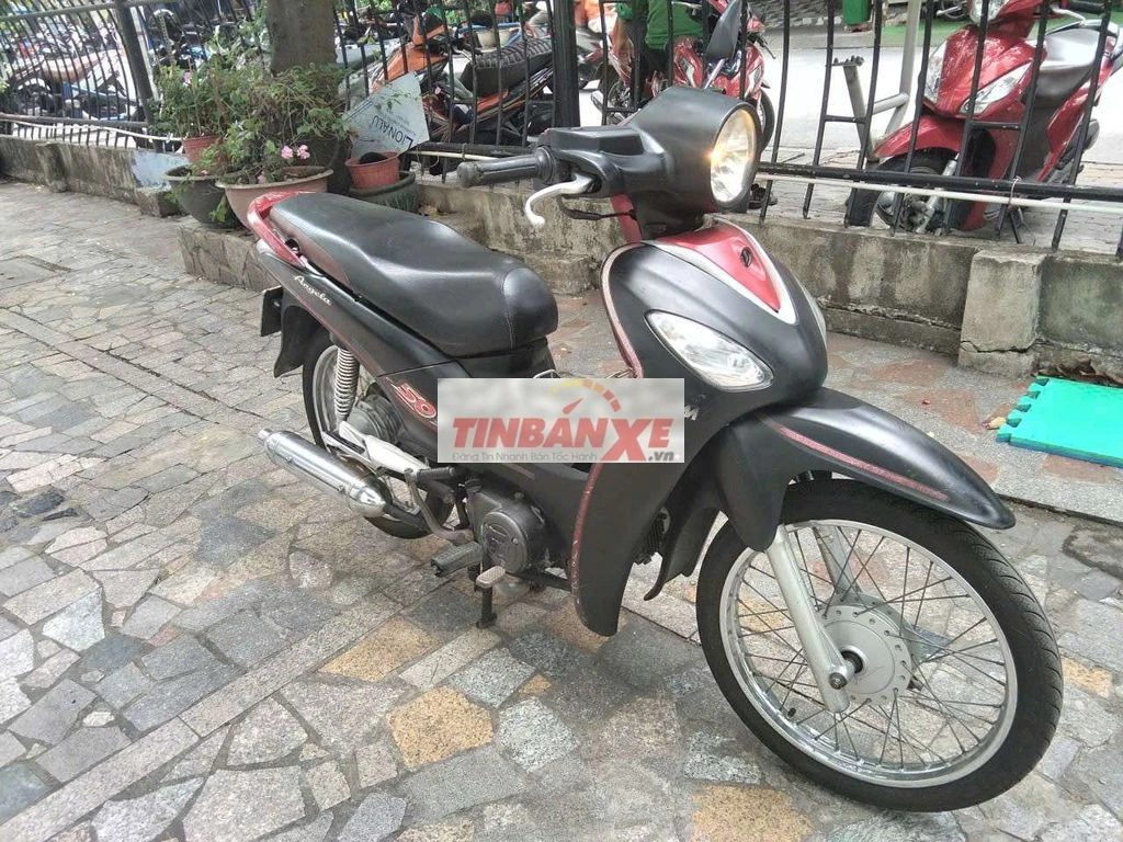 Xe cùng phân khúc