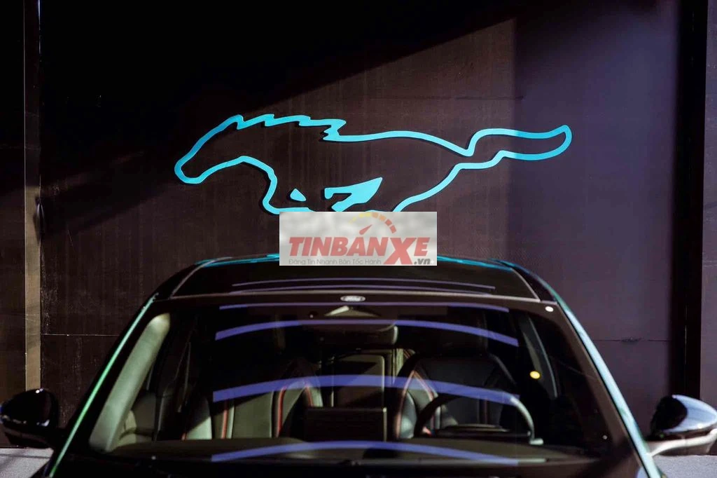 128cdb9a0e33544ead0ca1ff11fef2a3-2979271678512357926.webp
