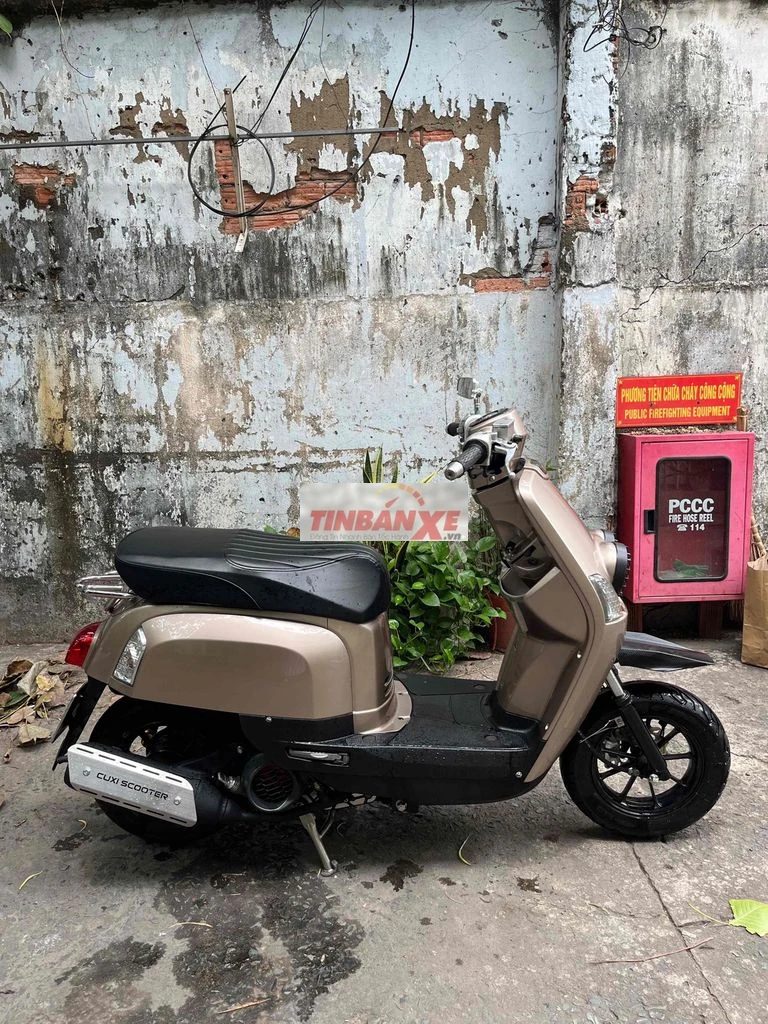 Yamaha Cuxi màu Vàng đồng