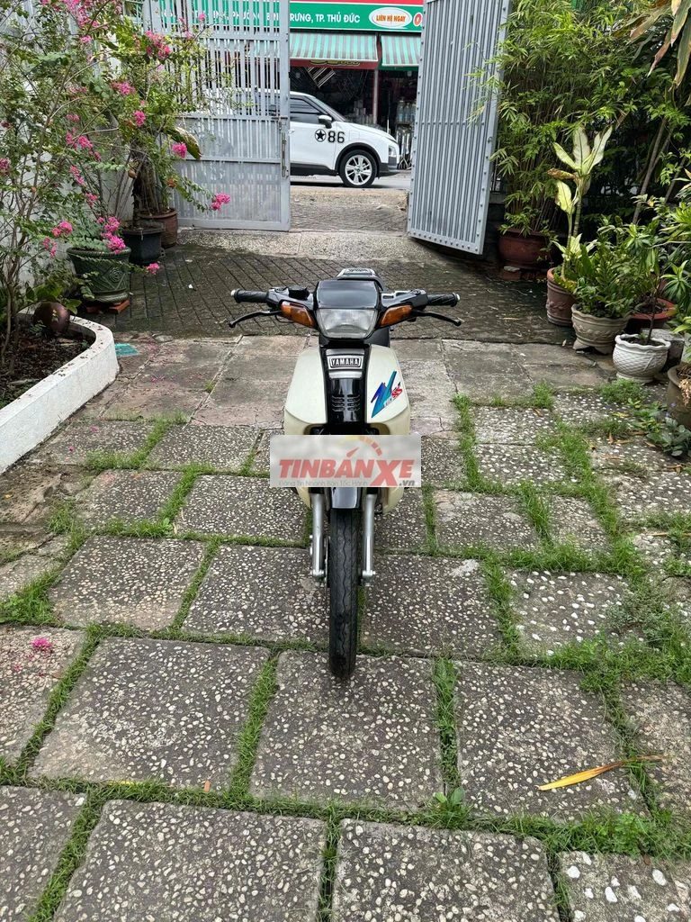 Yamaha YAss 110 Đen, Trắng