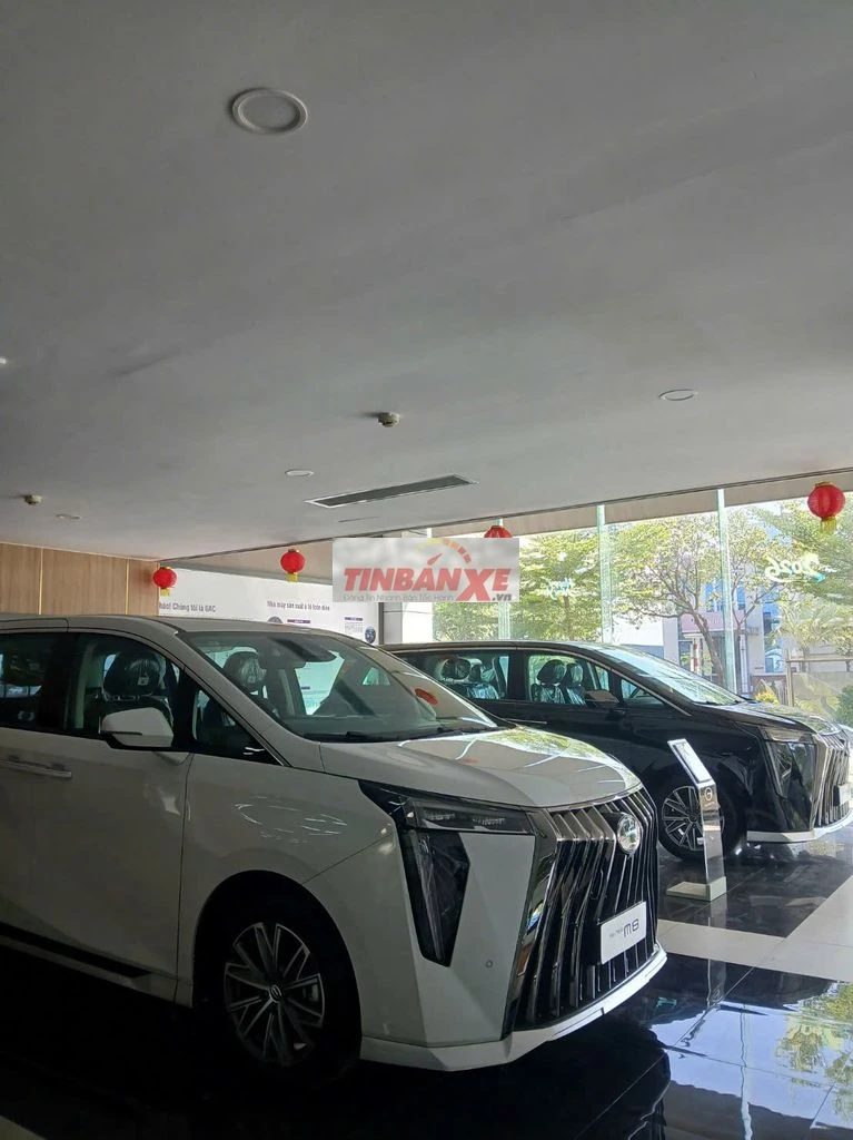 GAC M8 Trắng Đen