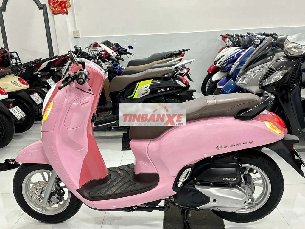 scoopy smaskay ( e có bán góp )