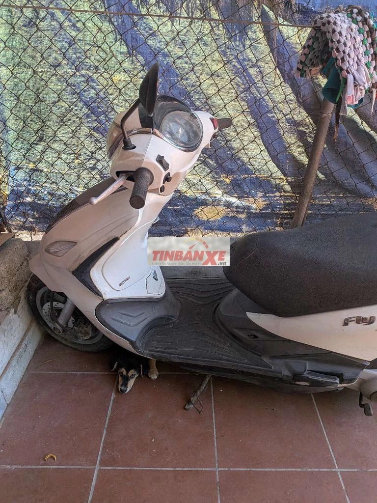Piaggio Fly Trắng Đã sử dụng