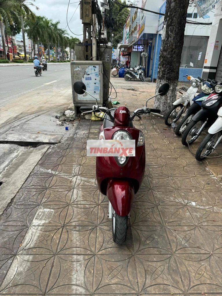 Sym Elite (49cm3) (2020) bs:65aa:cần thơ