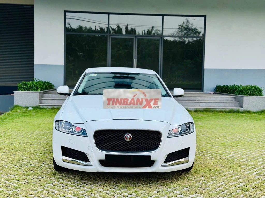 Jaguar XF Pure 2016 Trắng 60000 km