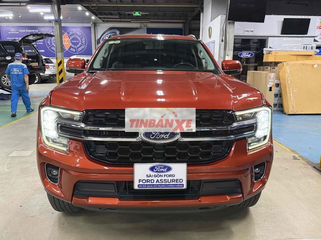 Everest Ambient Xe Chuẩn Kĩ Đẹp Bán Tại Hãng Ford