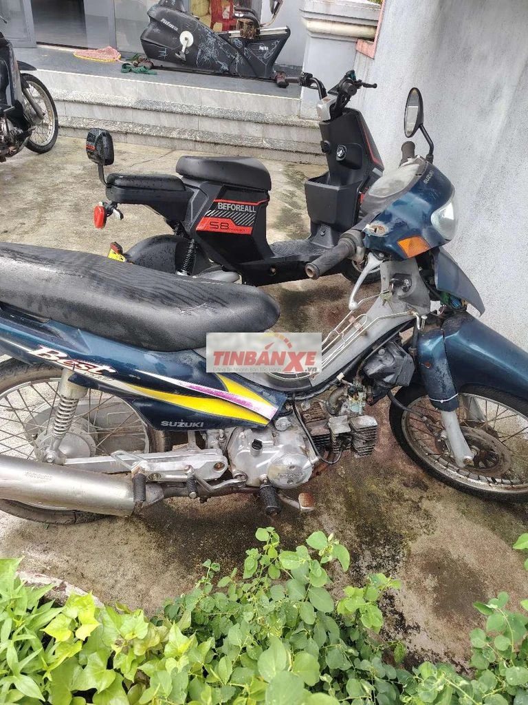 Suzuki Best Xanh