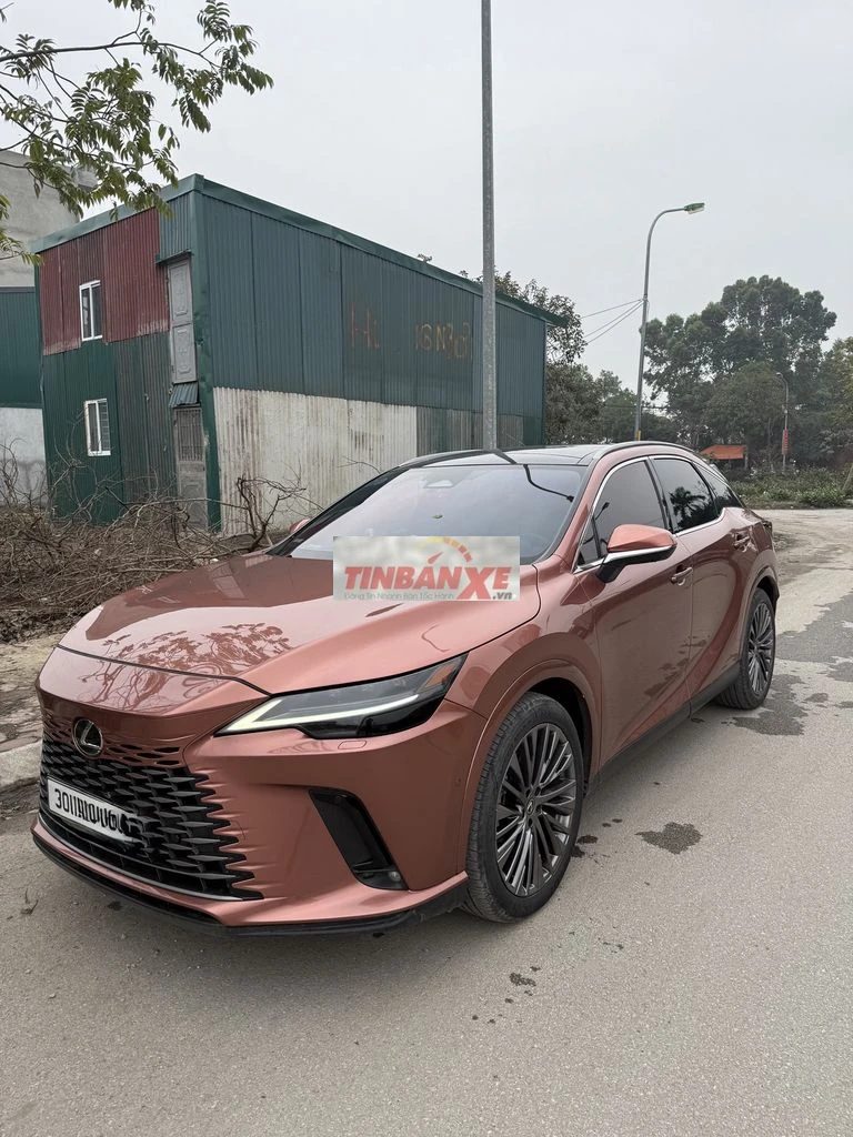 Lexus RX350 Luxury 2023 Cam Hồng