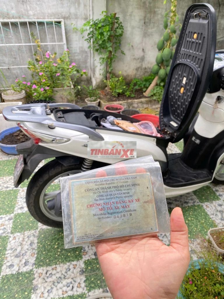 SYM Shark Trắng Xe tay ga