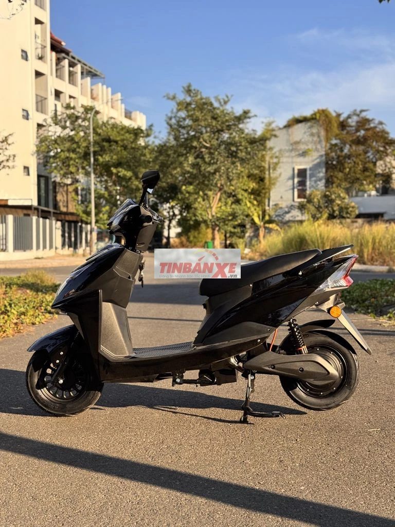 Xe máy điện 800W Đen 150kg