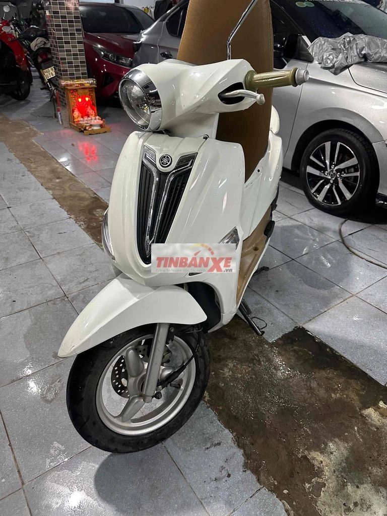 Noza zin bs dễ nhìn