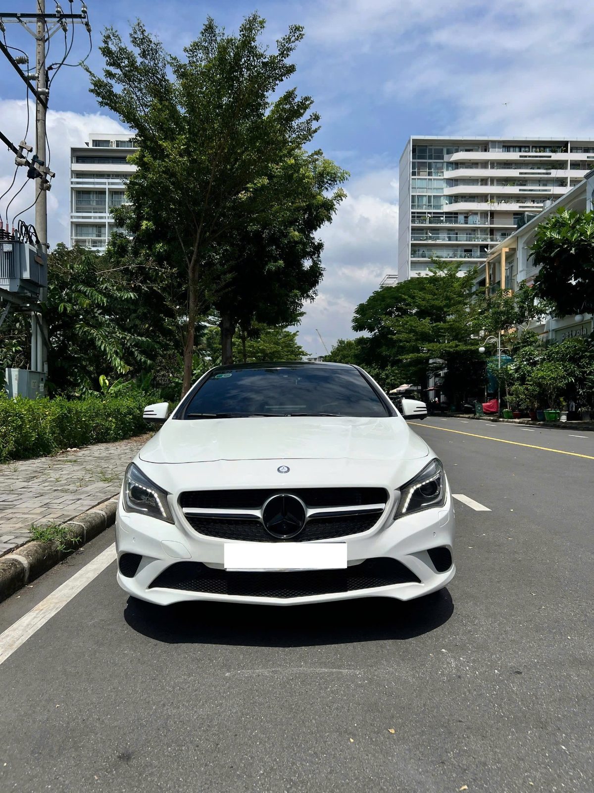 z7987298d.jpg