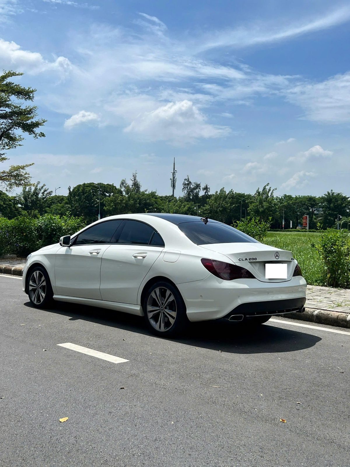 z798727450.jpg