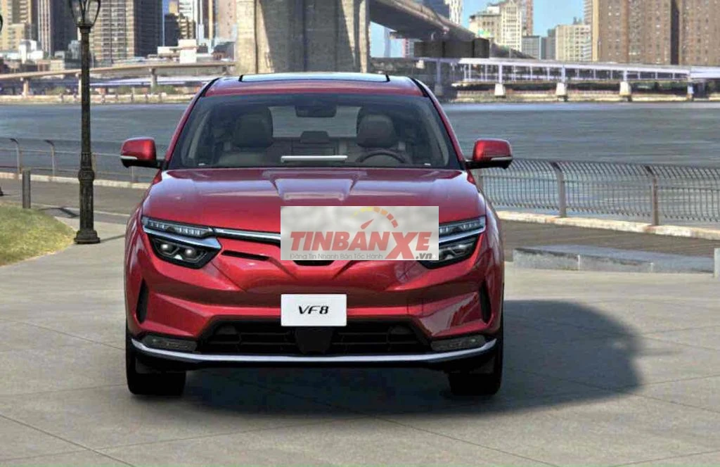VF8 lux phiên bản đặt biệt kèm pin