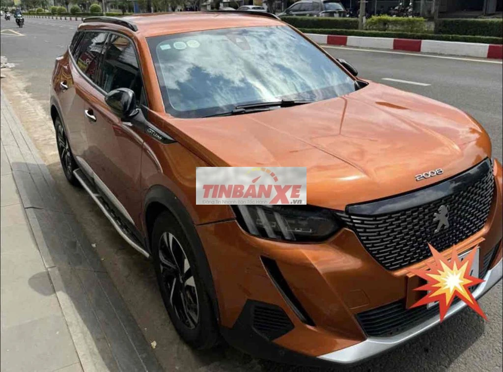 Peugeot 2008 2021 Cam