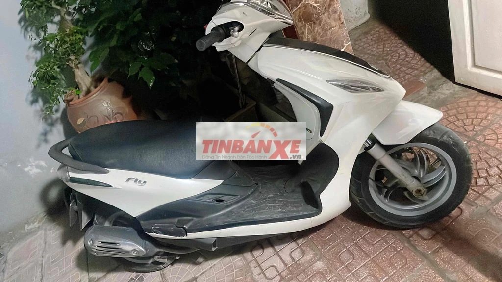 Piaggio Fly Trắng Đã sử dụng