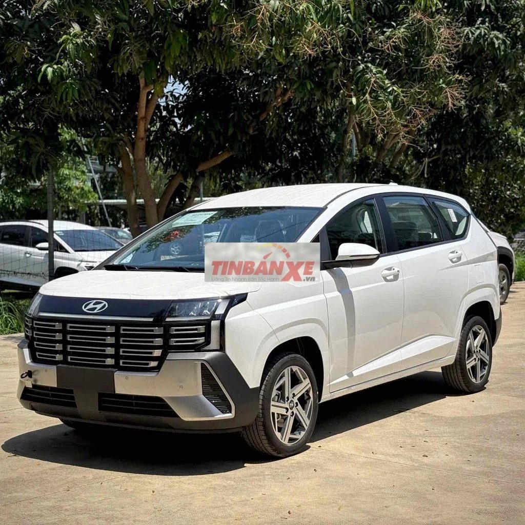 New Stargazer 2026 - giảm 50% TB