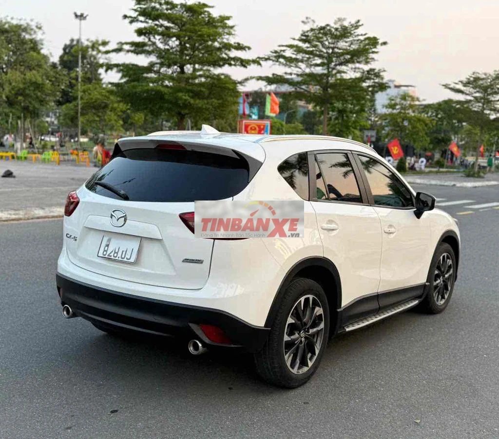1bfbe7426783473cb8ff92f5fd235834-2978387955510144607.jpg