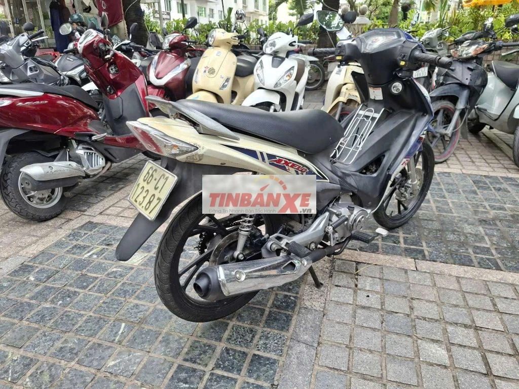 Suzuki Axelo