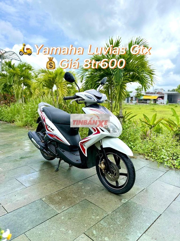 🛵Vài Mẩu Xe Tay Ga Xe Số Giá Trên Từng Ảnh Xe.