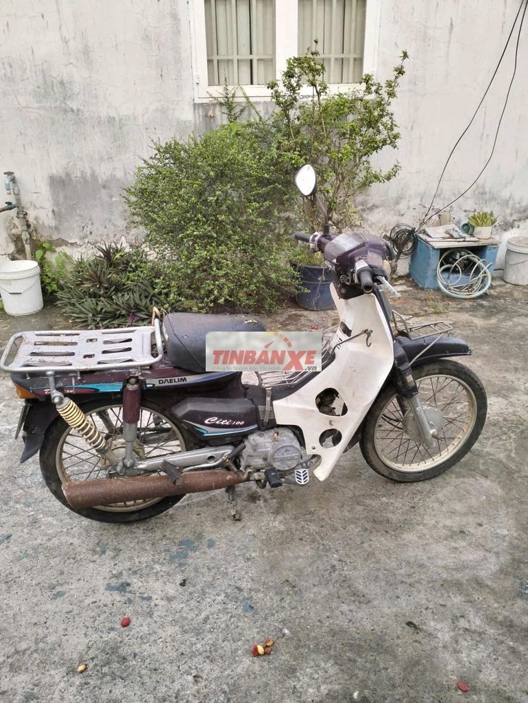 Honda Citi 1999 Nâu
