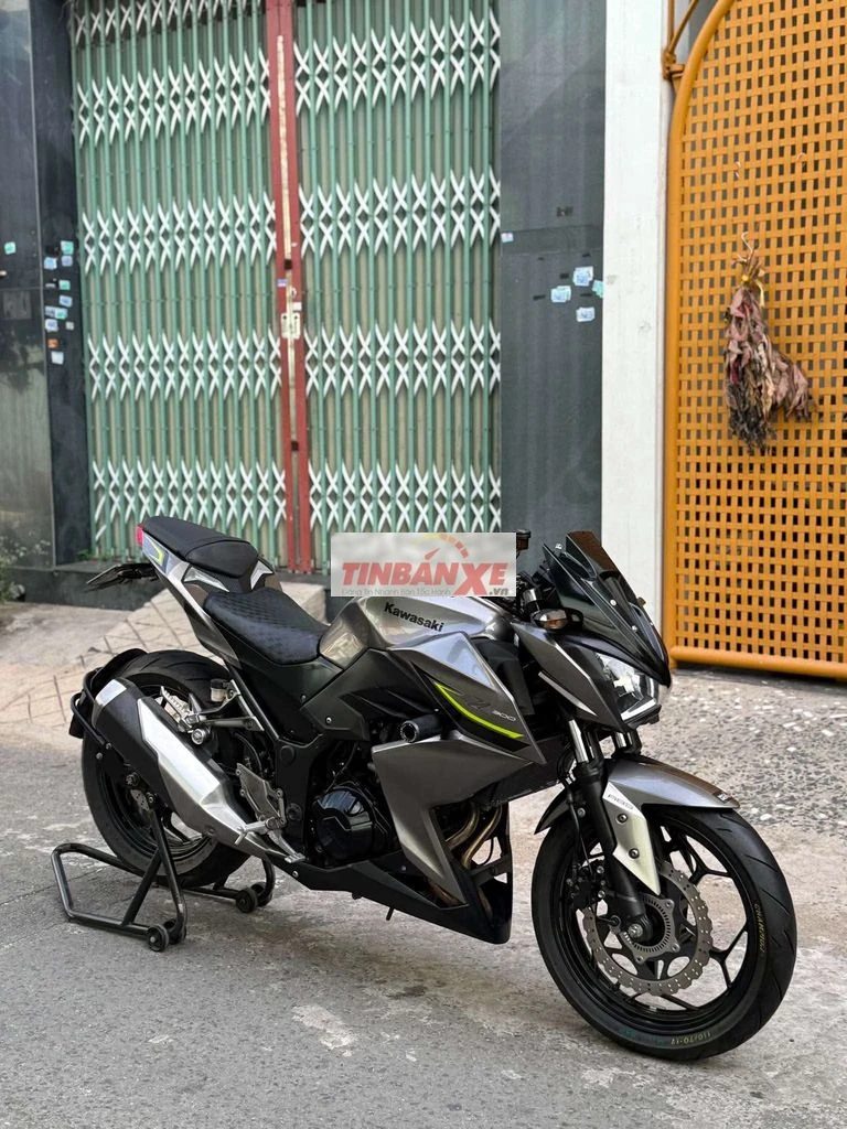 Z300abs bs59