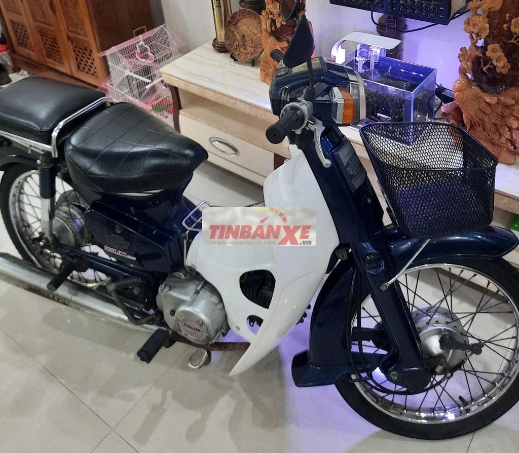 Việt Thái Cub 50cc Xanh trắng 43