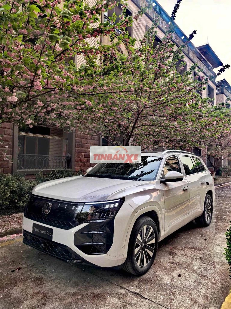 Volkswagen Teramont Pro SUV Trắng Pure Đức