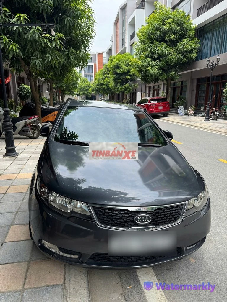 e29b5678c6648fe28c285cfb478c9efd-2995974866318739833.webp