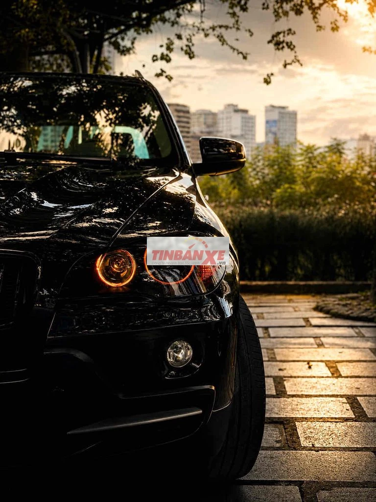BMW X5 si