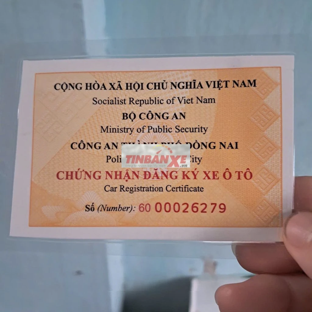 259cba8dcb18bd17a88973a812e68f53-3003212364982660535.webp