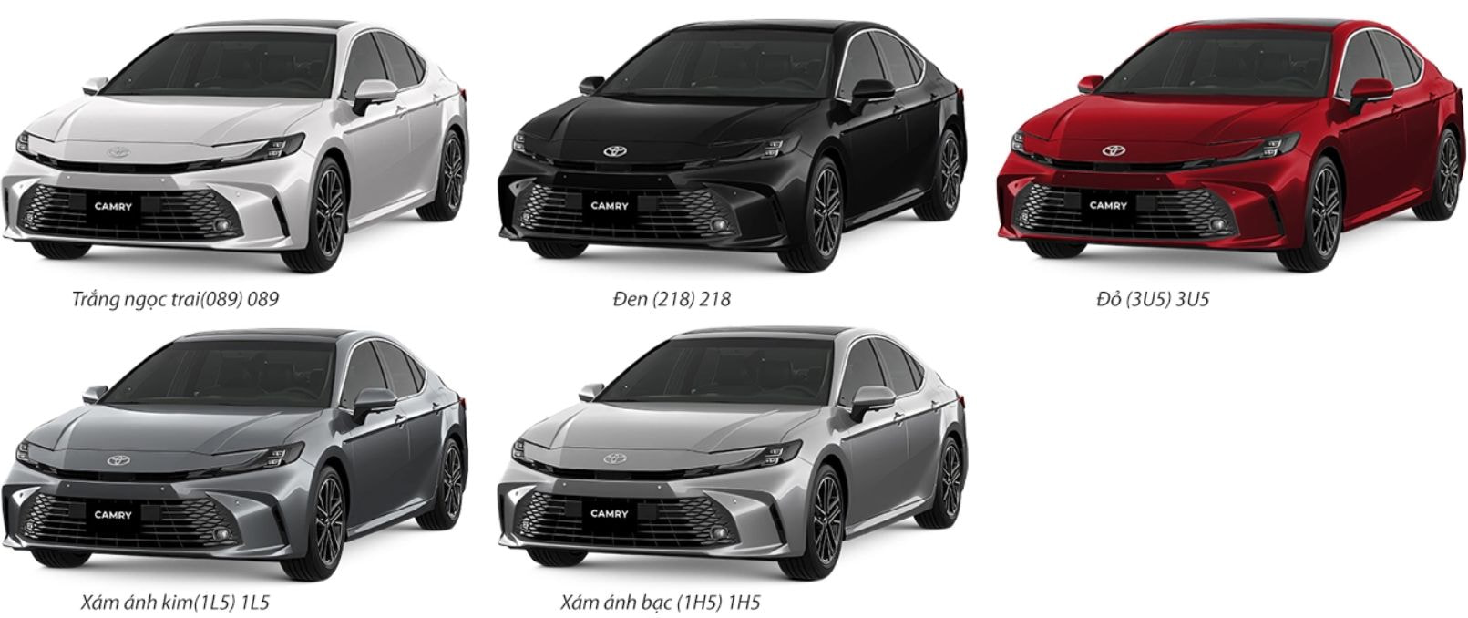 mau xe camry 1